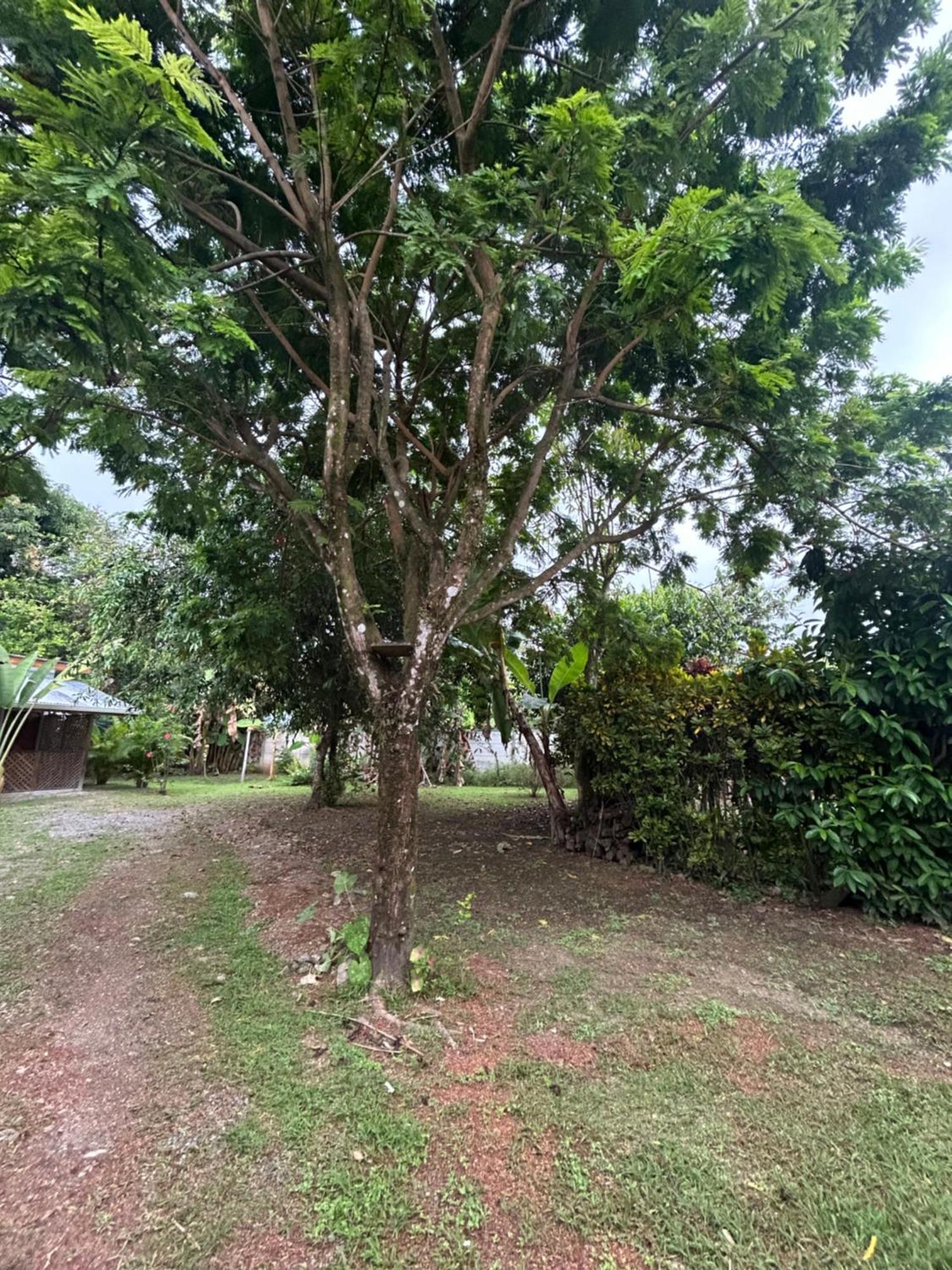 Ballena Oasis Homes & Glamping Uvita Exterior photo
